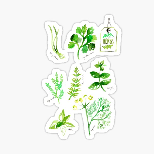 Herbs Sticker