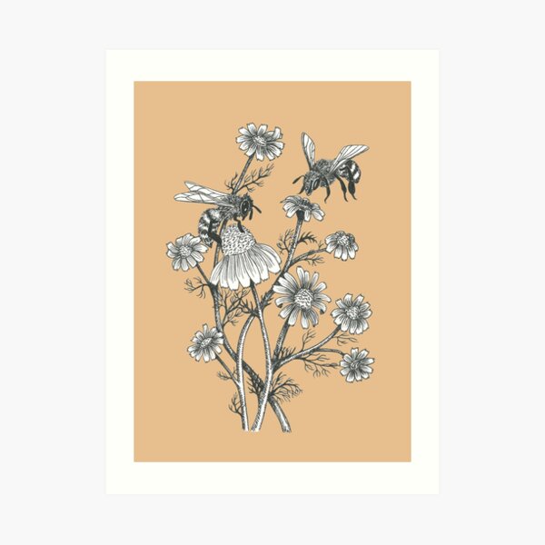 bees and chamomile on caramel background Art Print
