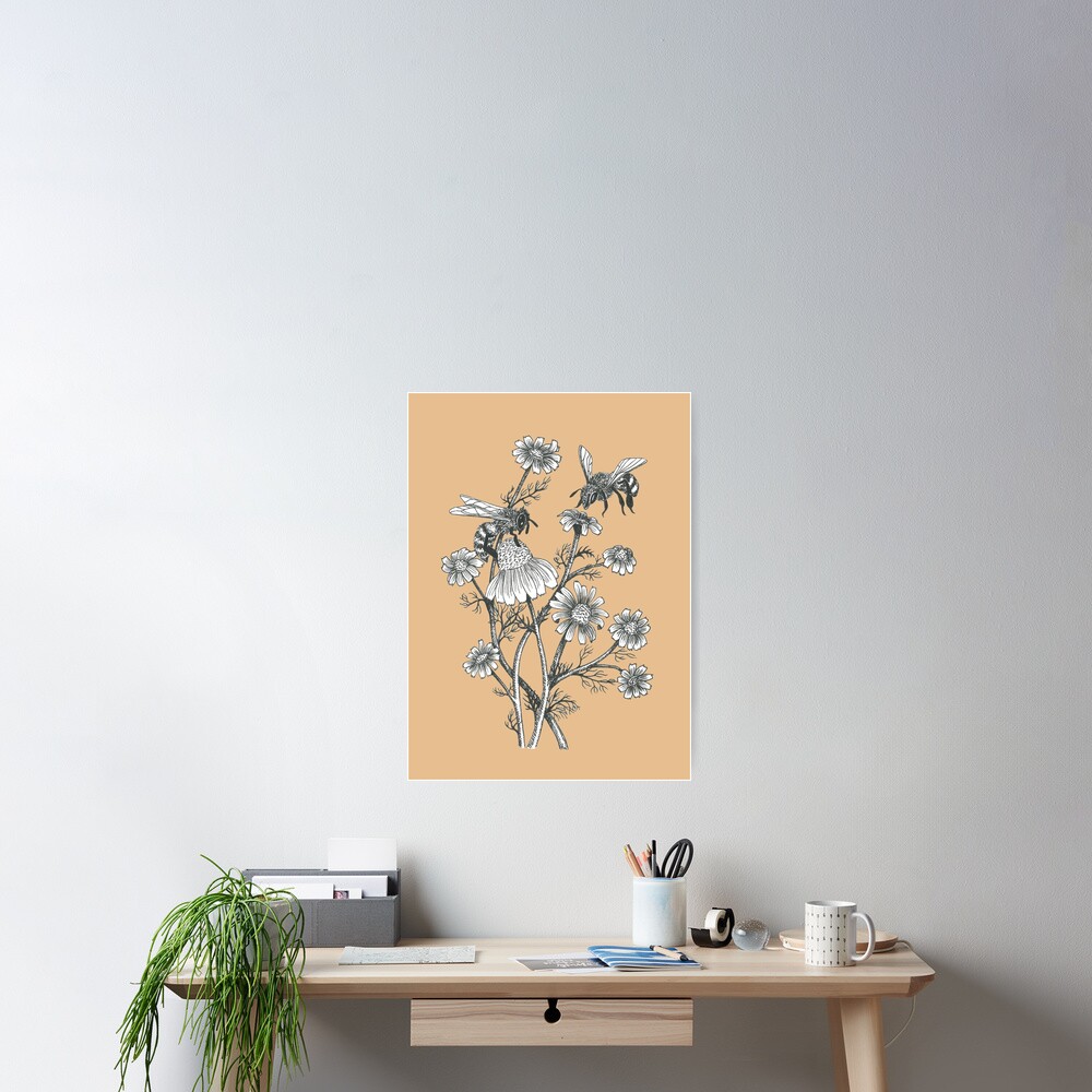 bees and chamomile on caramel background Poster