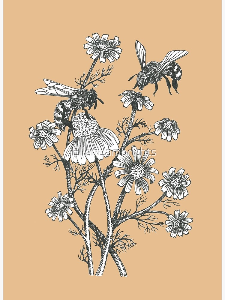 bees and chamomile on caramel background by EllenLambrichts