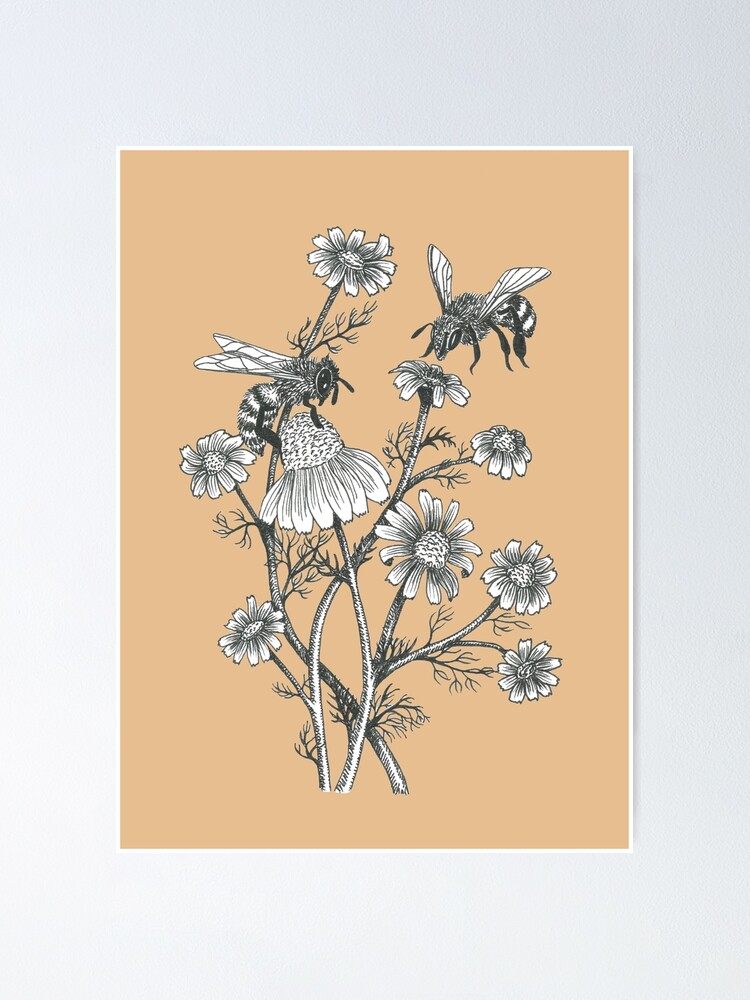 Alternate view of bees and chamomile on caramel background Poster