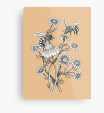 Bienen und Kamille auf Karamell Hintergrund Metalldruck