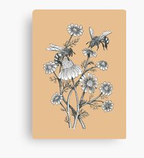 bees and chamomile on caramel background Canvas Print
