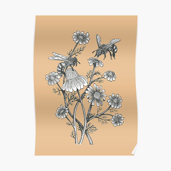 bees and chamomile on caramel background Poster