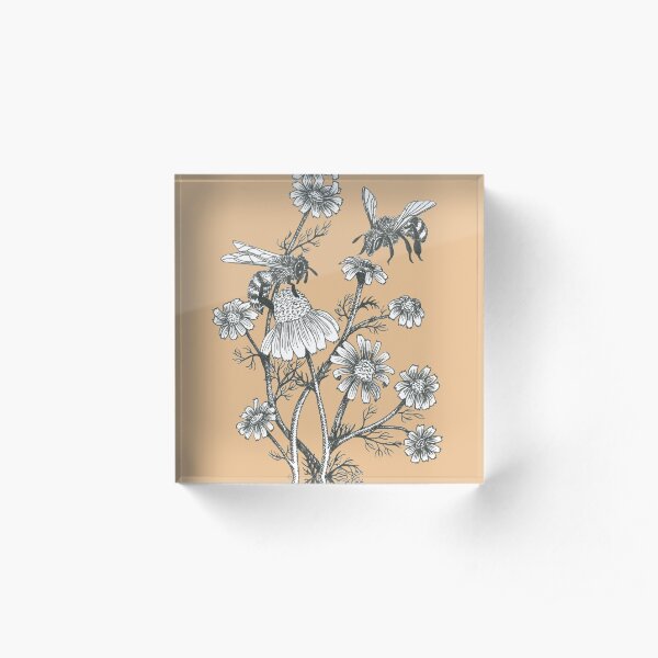 bees and chamomile on caramel background Acrylic Block