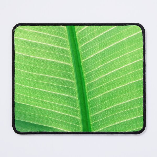 Item preview, Sheet designed and sold by AbaTiro.