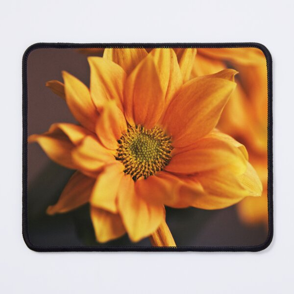 Item preview, Sunny day designed and sold by Dominika Aniola.