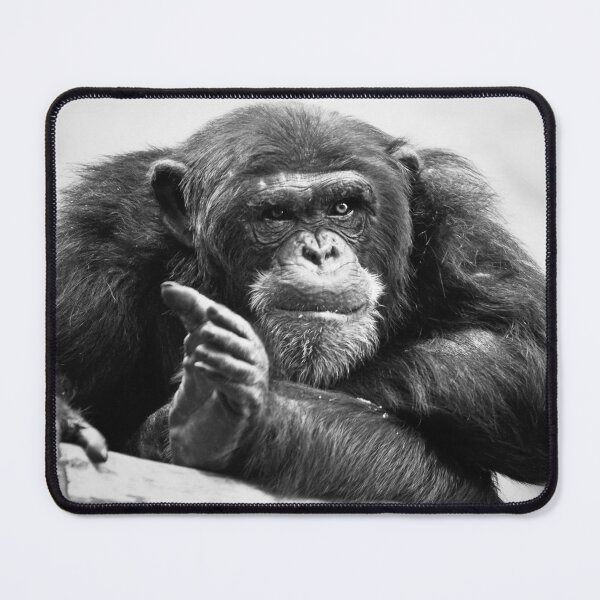 Item preview, You talking to me? designed and sold by Dominika Aniola.