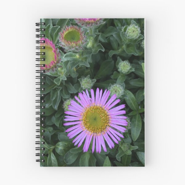 Aperçu de l'œuvre Fleur mauve créée et vendue par Sophia Spach.