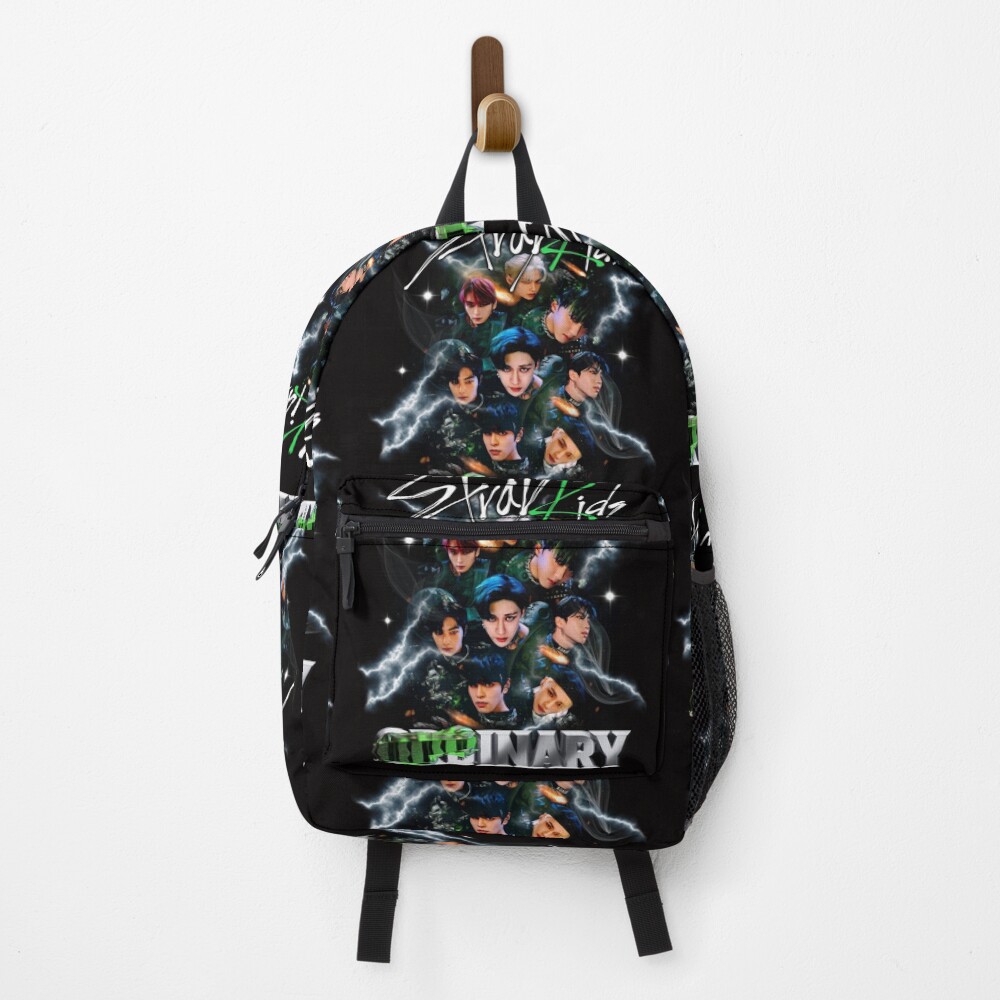 Stray Kids Tour Shirt Stray Kids Merch Stray Kids Maniac