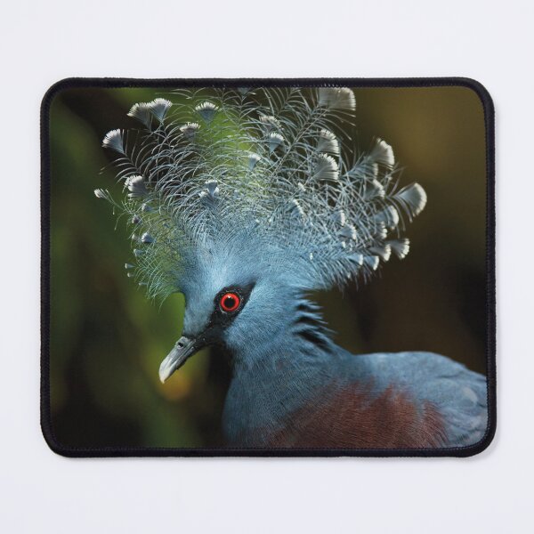 Item preview, Victoria Crowned Pigeon designed and sold by Dominika Aniola.