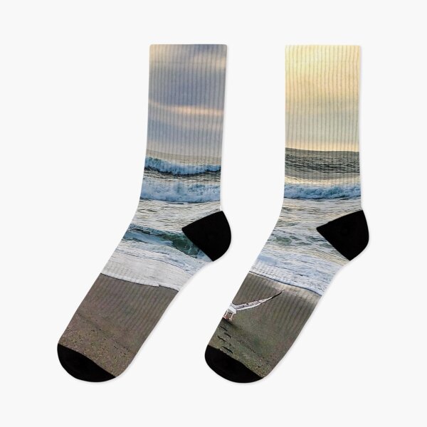 Item preview, Take Off (Gaviota volando desde la playa en Pacifica, California), Colección de fotografía personal designed and sold by Rex Wyld.