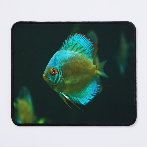 Item preview, A fish 1 designed and sold by Dominika Aniola.