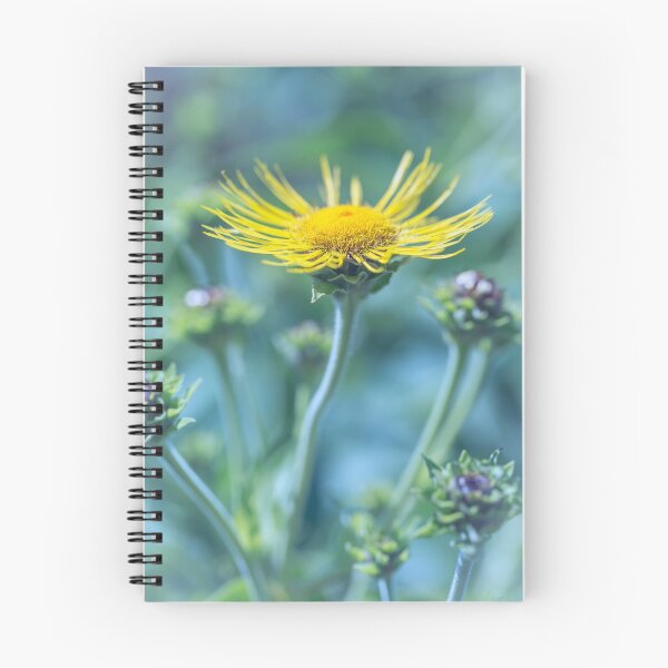 Item preview, Asteraceae designed and sold by alan shapiro.