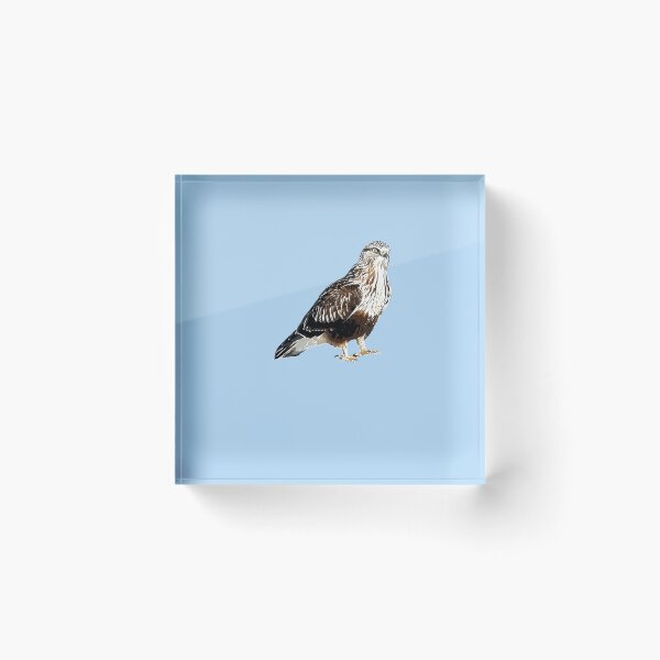 Item preview,  Rough Legged Hawk Buzzard White Alternate Design designed and sold by designsasstultd.