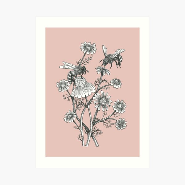 bees and chamomile on dusty pink background Art Print