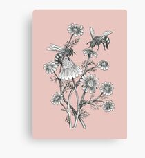 Lienzo las abejas y la manzanilla en el fondo de color rosa polvoriento