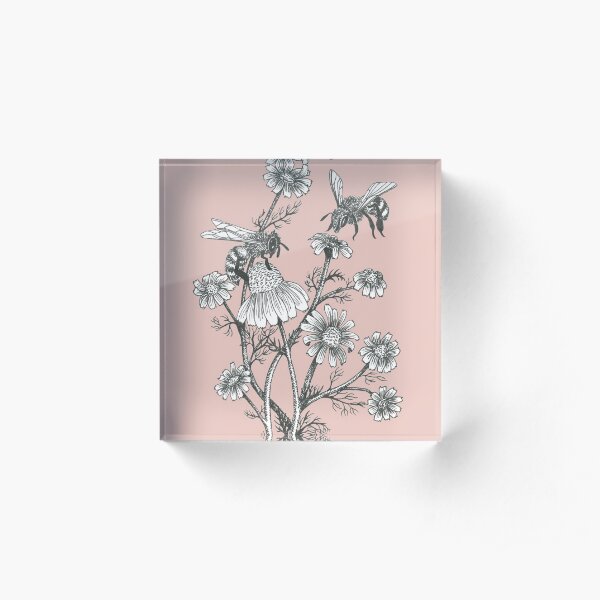 bees and chamomile on dusty pink background Acrylic Block