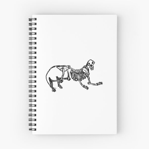 Item preview, Sketchy Tiger Skeleton designed and sold by Garrington-Illu.
