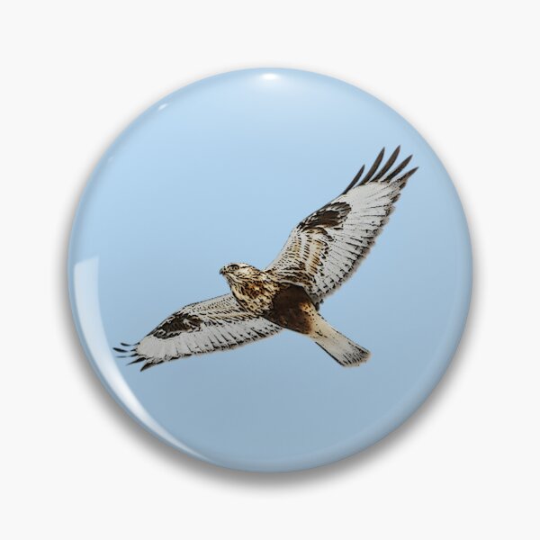 Item preview,  Rough Legged Hawk Buzzard Flying Color Design designed and sold by designsasstultd.