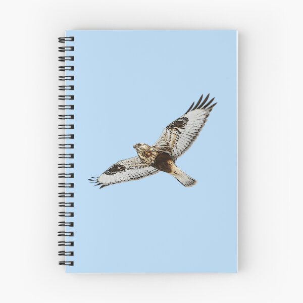 Item preview,  Rough Legged Hawk Buzzard Flying Color Design designed and sold by designsasstultd.