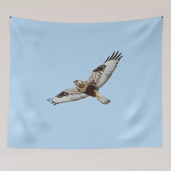 Item preview,  Rough Legged Hawk Buzzard Flying Color Design designed and sold by designsasstultd.