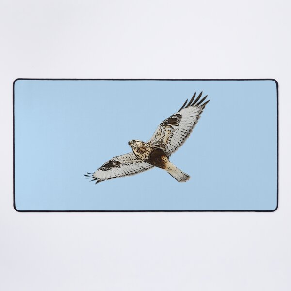 Item preview, Rough Legged Hawk Buzzard Flying Color Design designed and sold by designsasstultd.