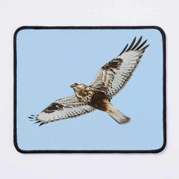 Item preview, Rough Legged Hawk Buzzard Flying Color Design designed and sold by designsasstultd.