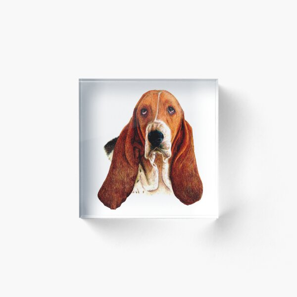 Basset Hound artwork Acrylic Block
