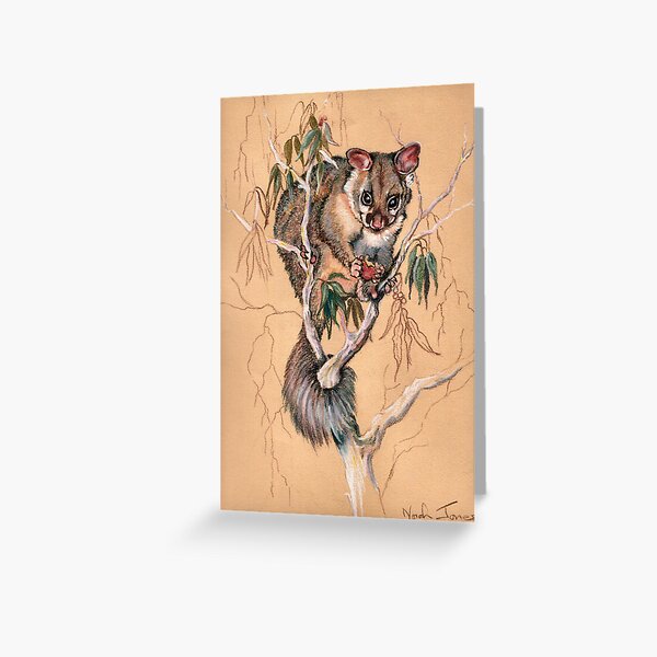 Brushtail Possum Greeting Card