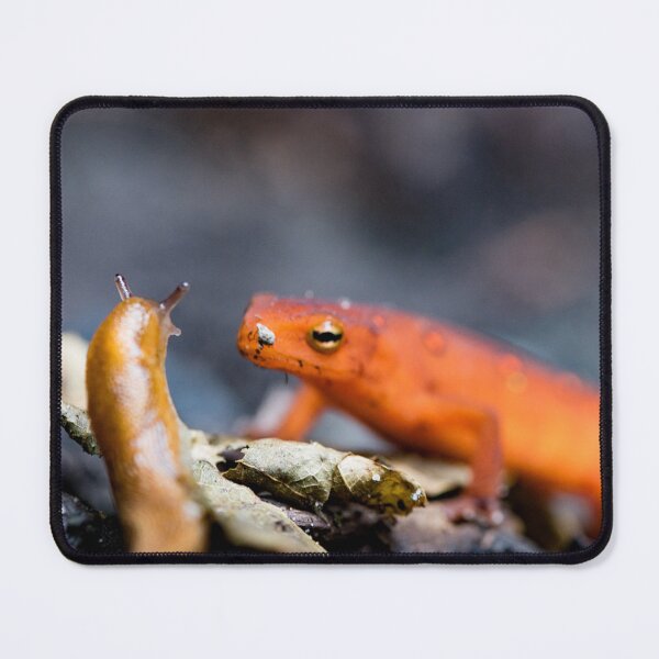 Item preview, Conversations designed and sold by akiobsession.