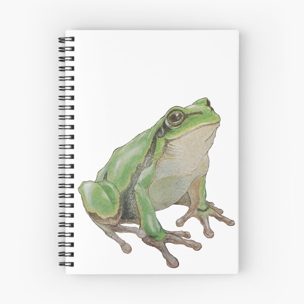 Item preview, Sitting green frog designed and sold by ElementalEmbers.