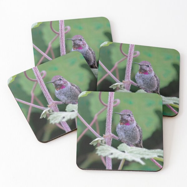 Item preview, Sitting Hummingbird designed and sold by CarolM.