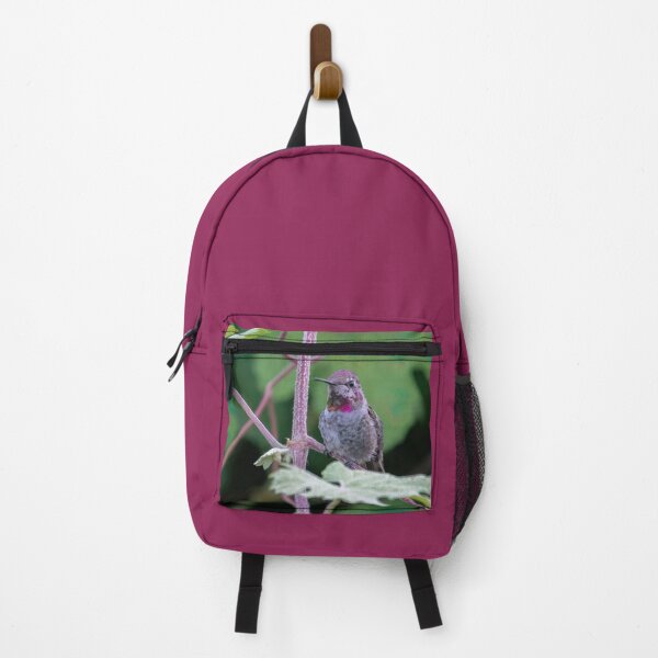 Item preview, Sitting Hummingbird designed and sold by CarolM.