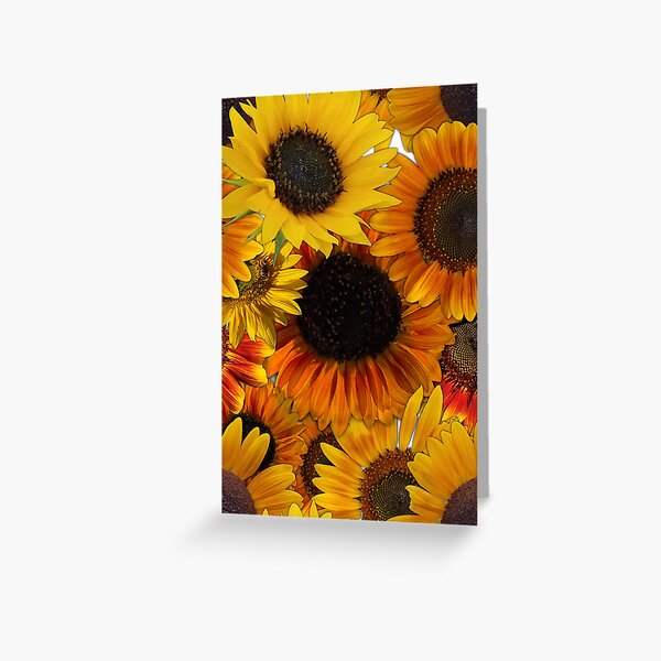 Sunflowers From My Garden No. 010 Greeting Card
