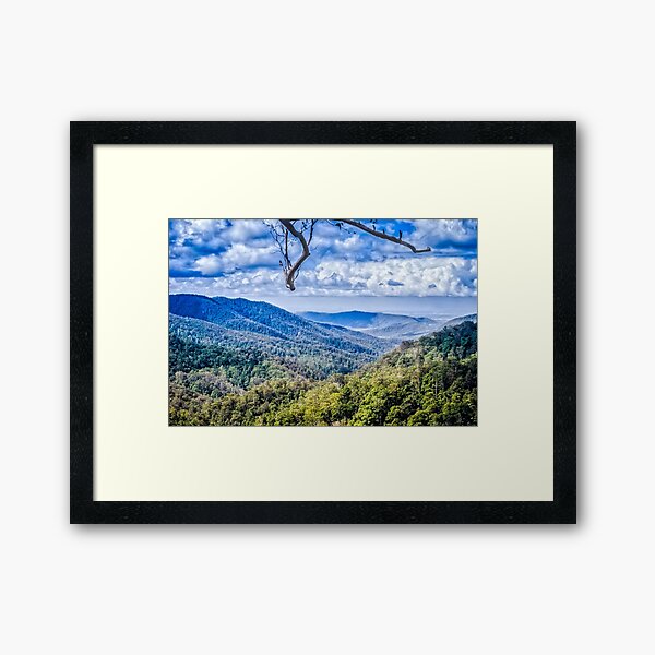 View from Binna Burra, Australia Framed Art Print