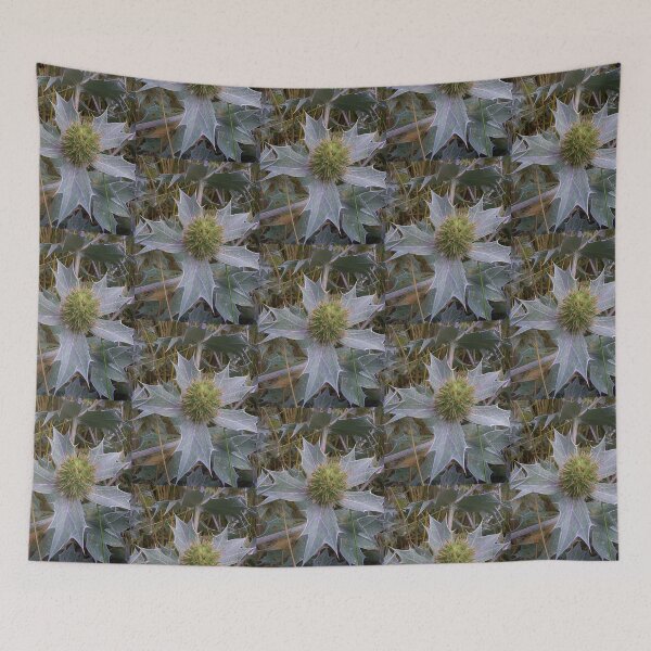 Item preview, Sea Holly - Eryngium maritimum designed and sold by lezvee.