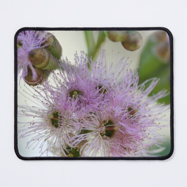 Item preview, Port Lincoln Mallee designed and sold by Leanne Davis.