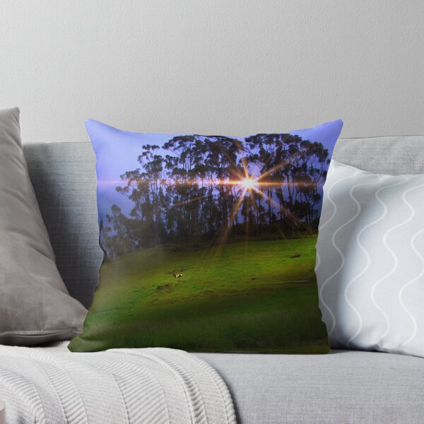 Item preview, Pinto Near Ingapirca designed and sold by alabca.