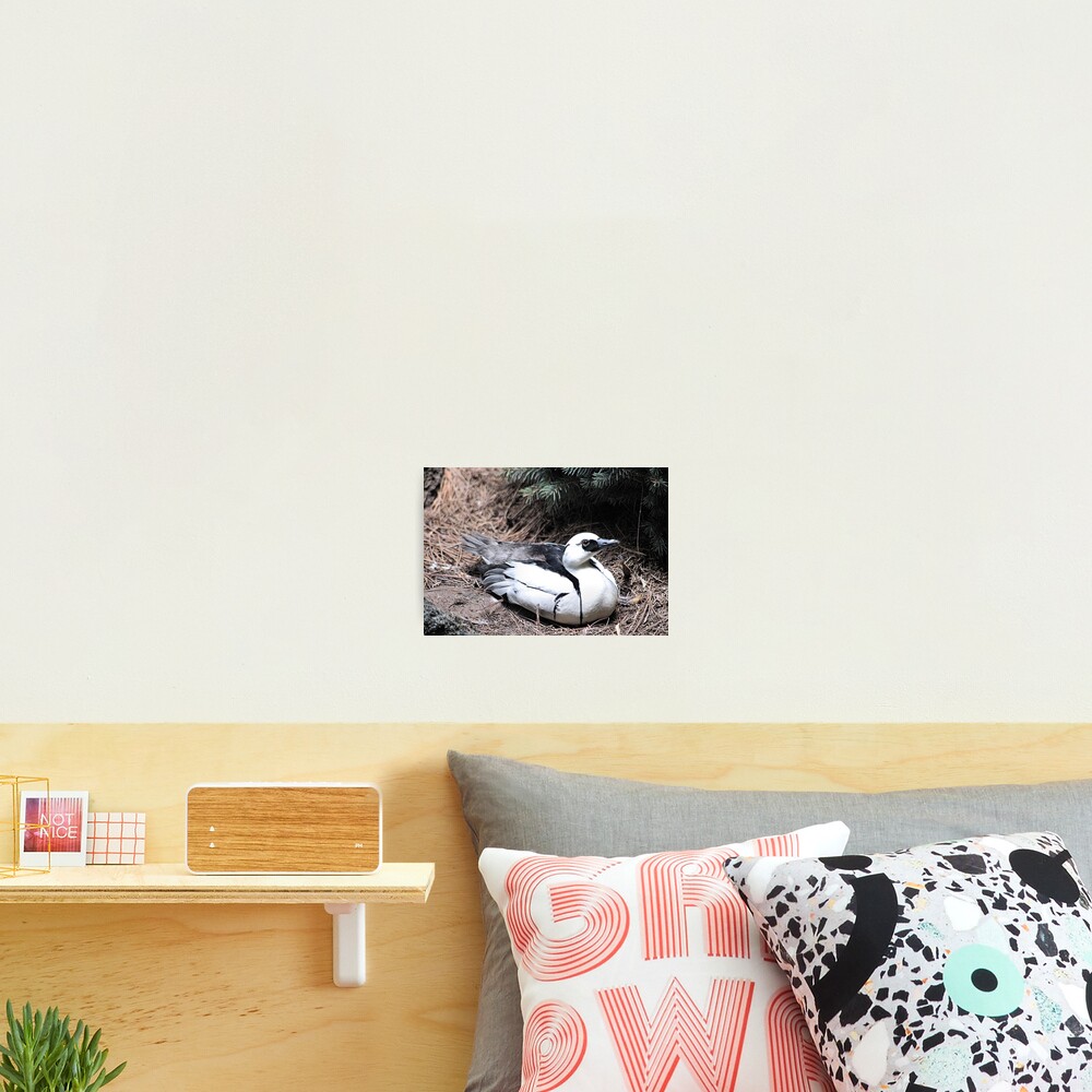 Item preview, Photographic Print designed and sold by BOLLA67.