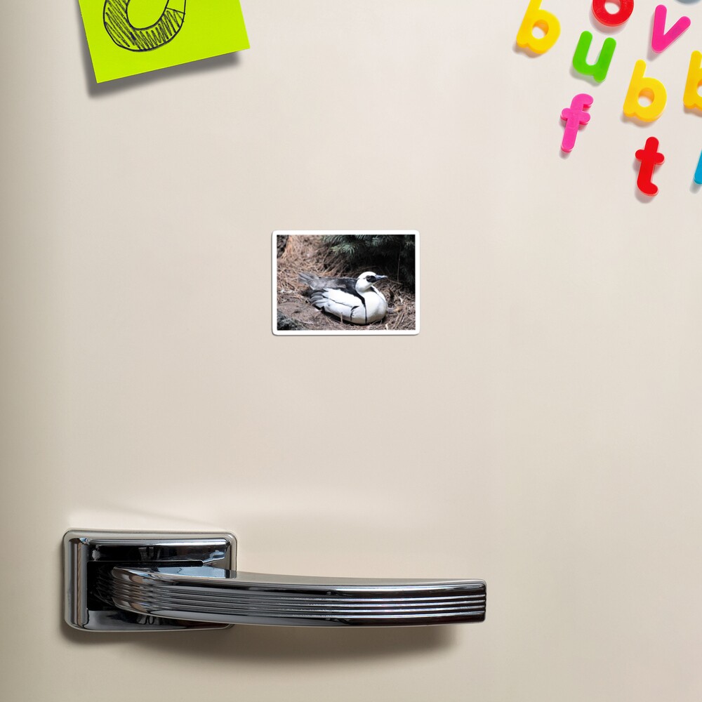 Item preview, Magnet designed and sold by BOLLA67.