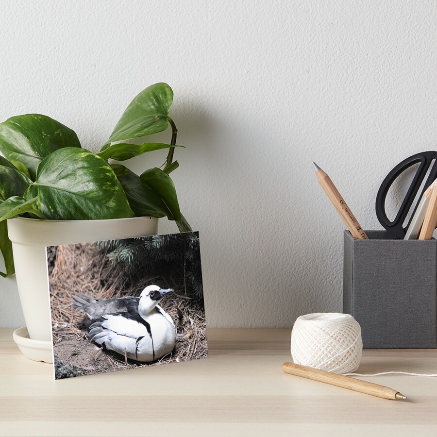 Item preview, Art Board Print designed and sold by BOLLA67.
