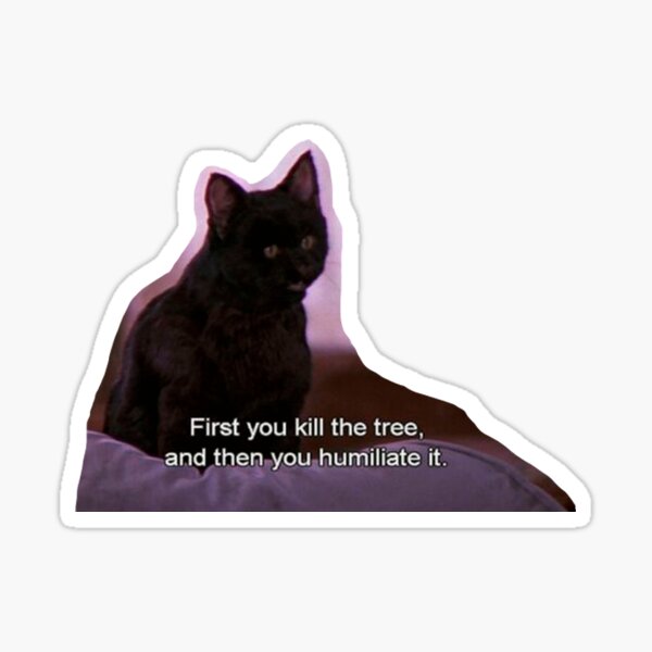 Produits Sur Le Theme Salem Saberhagen Redbubble