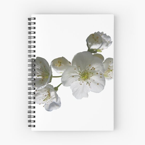 Item preview, cherries in blosssom on white background designed and sold by AHELENE.