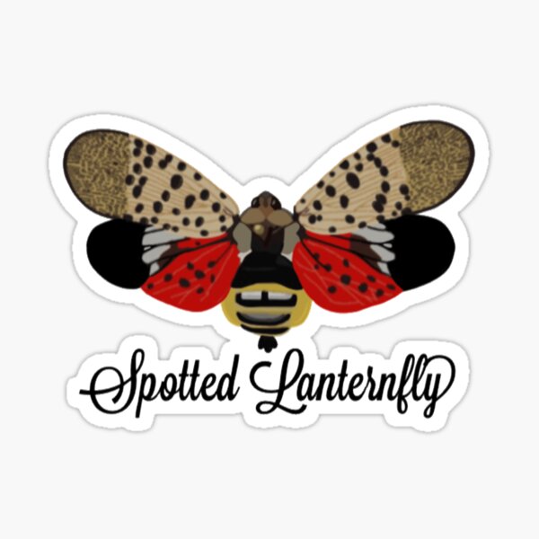 Item preview, Spotted Lanternfly designed and sold by radiantdark.