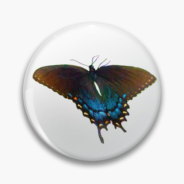 Item preview, Black Swallowtail  Papilio polyxenes butterfly designed and sold by annasofia.