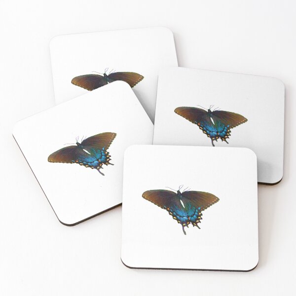 Item preview, Black Swallowtail  Papilio polyxenes butterfly designed and sold by annasofia.