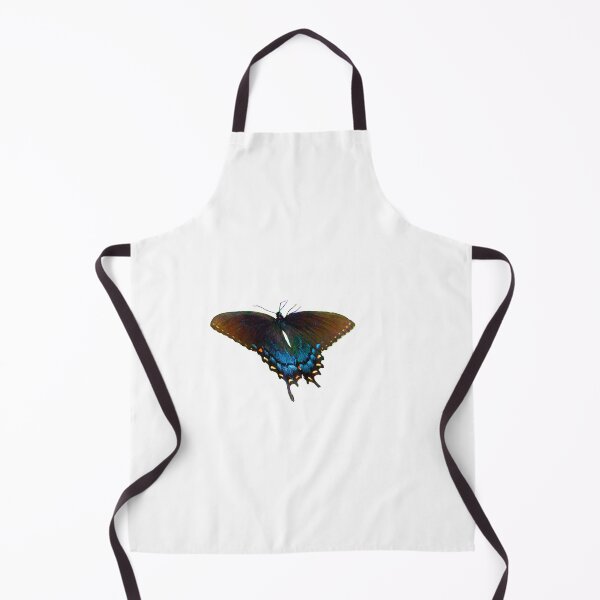 Item preview, Black Swallowtail Papilio polyxenes butterfly designed and sold by annasofia.