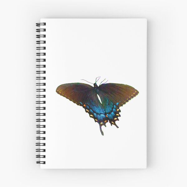 Item preview, Black Swallowtail  Papilio polyxenes butterfly designed and sold by annasofia.