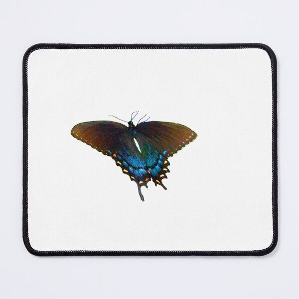 Item preview, Black Swallowtail  Papilio polyxenes butterfly designed and sold by annasofia.